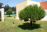 /album/galeria-de-fotos-home/clubhouse-area2-jpg/